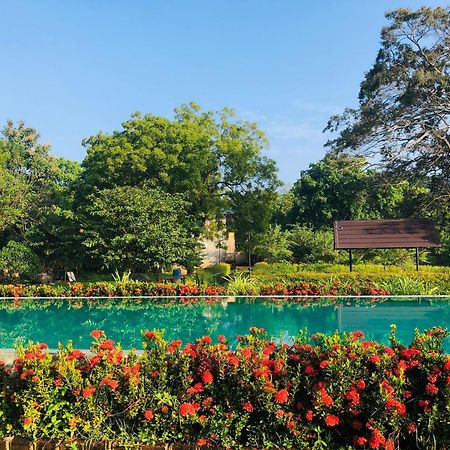Lolu Village Resort Anuradhapura Bagian luar foto