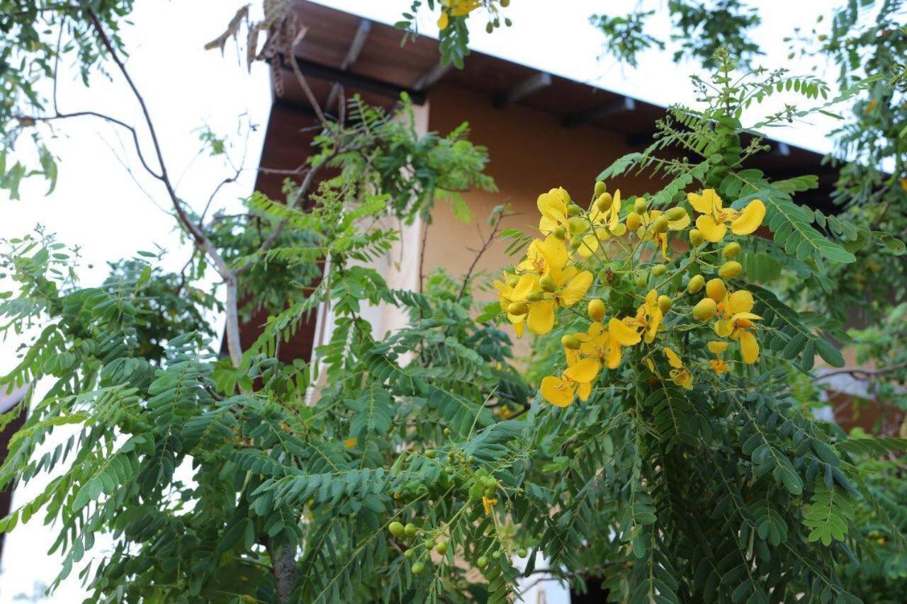 Lolu Village Resort Anuradhapura Bagian luar foto